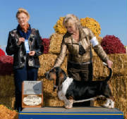 DukeMoraviaBrayMiddleburgVa.jpg