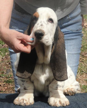 Zinnia4months.jpg