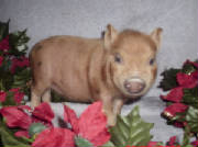 baby4.jpg
