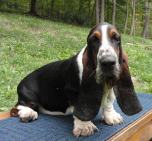 duke6mths1.jpg