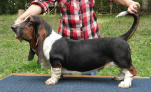 duke6mths4.jpg