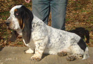 joboy112.jpg