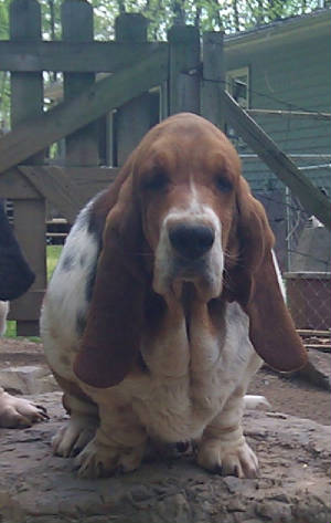 winifred.jpg