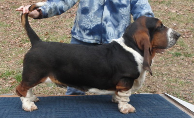 Duke10months.jpg
