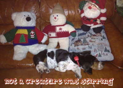 EliChristmas.jpg