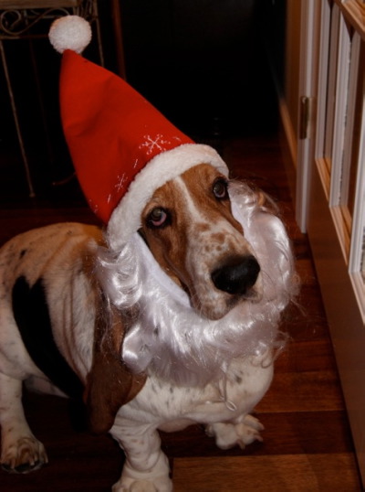 GooberSanta.jpg