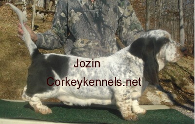 Jozin8months6a.jpg