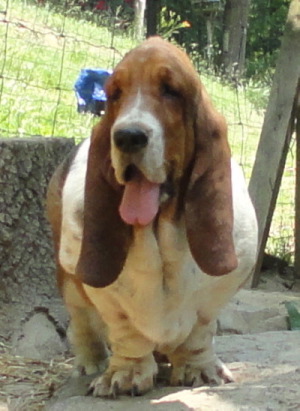 Winfredgirlab.jpg