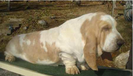 York2yrs8.jpg