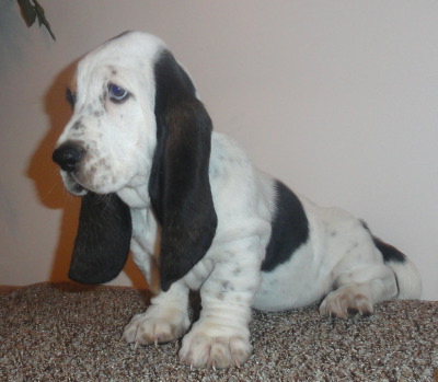 Zin9weeks.jpg