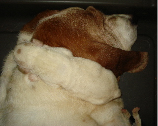 babyandmomma.jpg