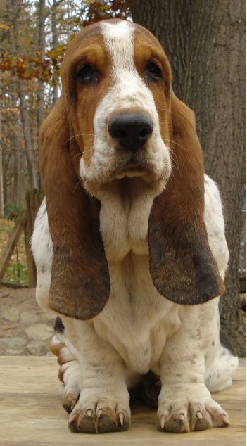 edie0.jpg