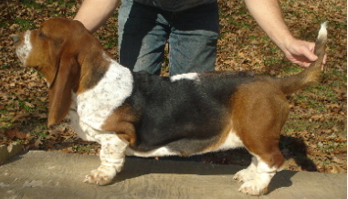 ingslide4a.jpg