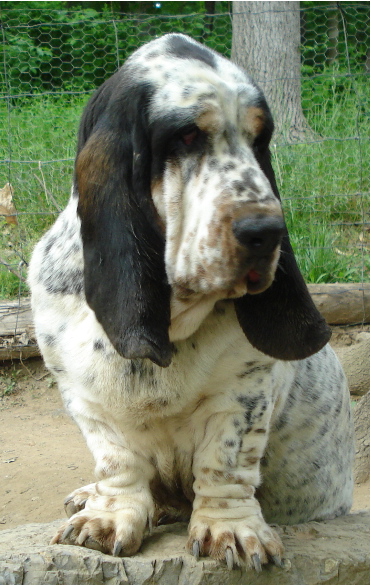jo700.jpg