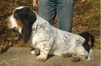 jobo5.jpg