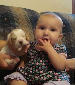 puppiesandbabies.jpg
