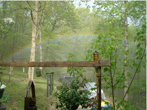 rainbow2.jpg
