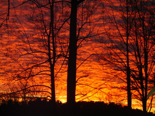 sunsethome.jpg